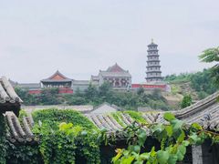 -古北烤梨