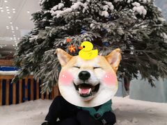 -长沙湘江冰雪世界