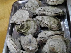 -蚝专家(北滘店)