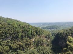 -川西竹海景区