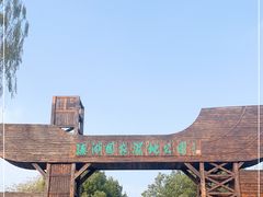 -溱湖国家湿地公园