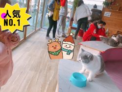 -萌宠亲子动物乐园(槐房万达店)