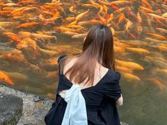 -楠溪江风景名胜区