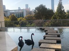 -行者书屋大堂吧 ·下午茶(南京圣和府邸酒店)