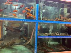 -稻香迎囍皇宫(港惠店)