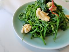 丝瓜苗-烛影拾光观景餐厅·创意菜·摄影·小提琴(大唐不夜城店)