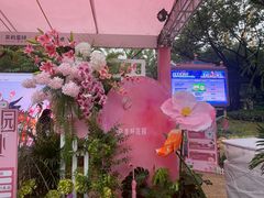 -广州长隆欢乐世界