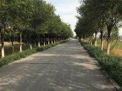 -西青郊野公园