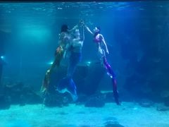 -石家庄海洋公园