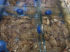 -木木鲜海鲜面(天一店)