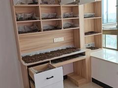 -浙大冰虫甲醛检测治理(闵行店)