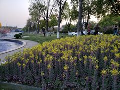 -湖州太湖旅游度假区-月亮广场