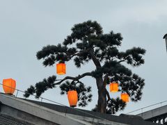 -老宅藕香·湖北菜·非遗藕汤·武昌鱼(黄鹤楼景观店)