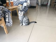 门面-平行世界·猫咖(首经贸店)