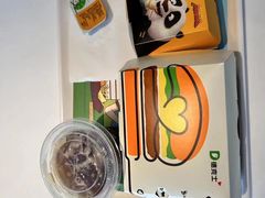 -绵阳南郊机场
