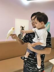 -Moni星球萌宠·小马宝莉·灵蛇·高端高阶全萌宠互动体验俱乐部(红豆国际广场店)