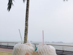 -野狸岛