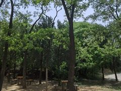 双槐休息区-北京西山国家森林公园