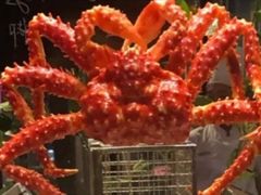 帝王蟹-广州富力君悦大酒店·凯菲厅
