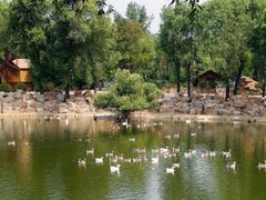 -石家庄市动物园