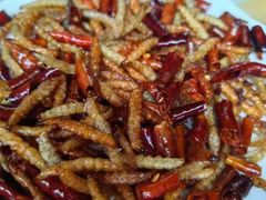 -东巴谷野生菌火锅餐厅