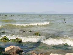 -捞渔河湿地公园