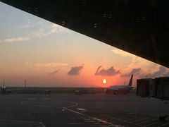 -上海浦东国际机场-T2航站楼