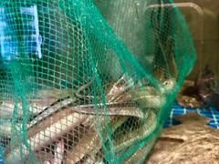 -宴小馆·小海鲜青岛菜(五四广场店)