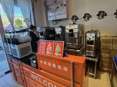 -萨朗刀克冰淇淋雪花凉(植物园店)