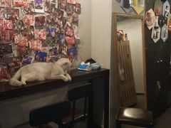 -Mr.Fox狐狸先生超级密室(南山店)