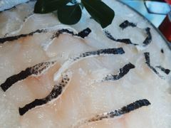 -辣伍鲜毛肚老火锅(元一店)