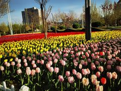 -廊坊文化艺术中心