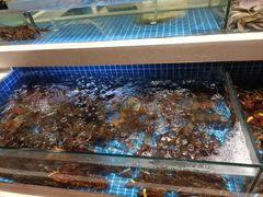 -渔人码头(中南店)