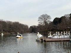 -井之头恩赐公园