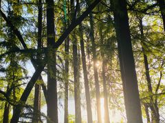 -东湖落雁景区