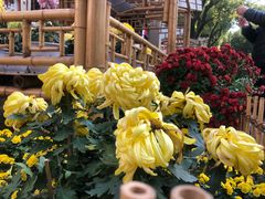 -秦园惠山豆腐花(惠山古镇店)