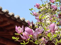 -万寿八仙宫