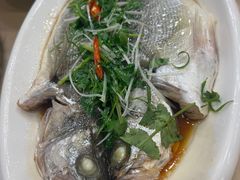 -海港餐厅·平价海鲜·茶点(小公园店)