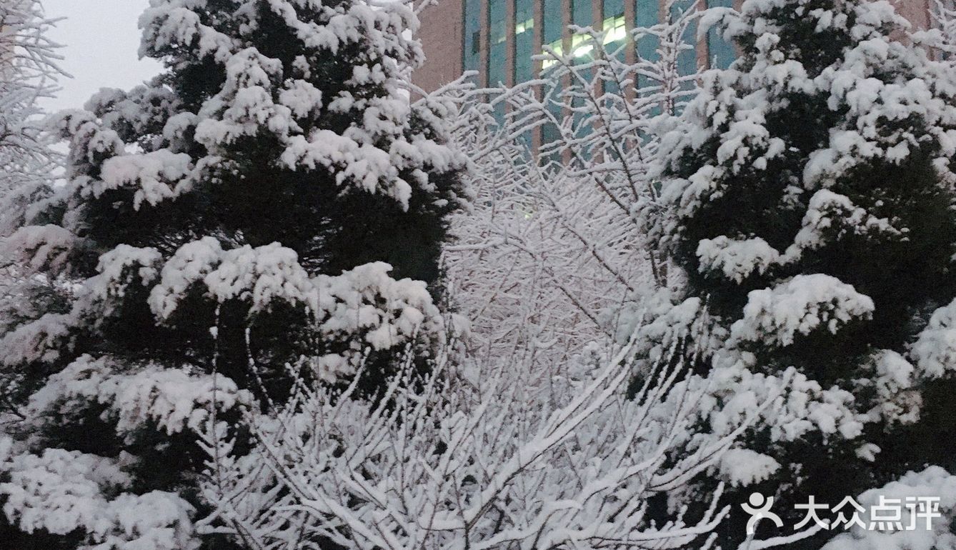 白雪却嫌春色晚，故穿庭树作飞花