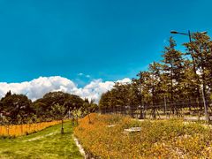 -长兴岛郊野公园农场食堂