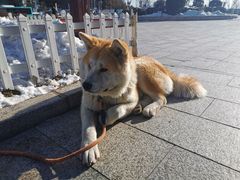 -帽儿山国家森林公园