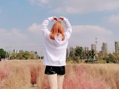 -映月湖中央公园