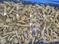 -好人家海鲜酒楼(淞南路店)