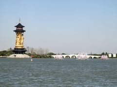 -溱湖国家湿地公园