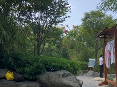 -楼观道温泉酒店