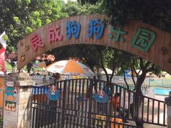 -良成狗狗乐园