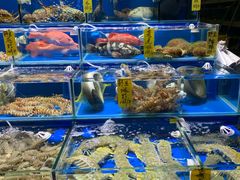水产区-黄沙水产交易市场