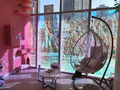 -藏猫猫咖啡主题馆(中央大道店)