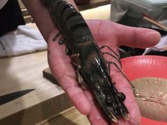 -加奈日本料理