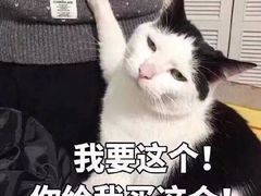 -西塔大冷面(市府大路店)